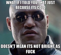 A seasonal fuck you to everyone that asks why Im wearing sunglasses in the winter
