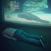 My friends cousin visited the aquarium today