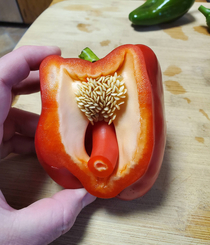 This bell pepper I just cut open makes meuncomfortable