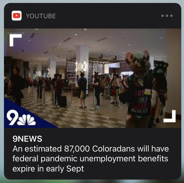  people off unemployment in September What image do they use a furry convention that is going on this weekend  What are you trying to say John Jameson Jr