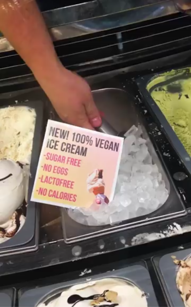  Vegan Ice Cream
