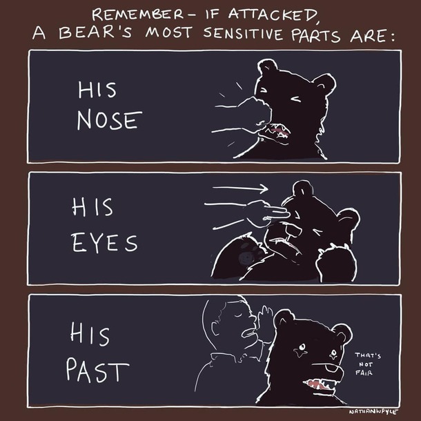 A bears most sensitive parts