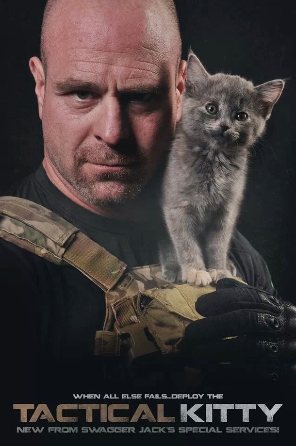 A cat showed up during a photoshoot my brother was doing for a tactical magazine