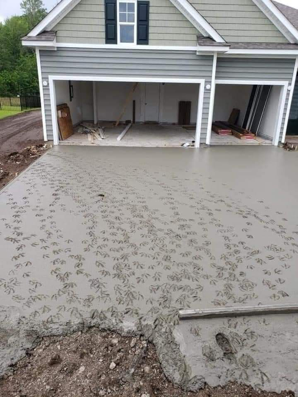 A driveway crew was pouring concrete at a new house next to a duck pond They went to lunch and came back to this