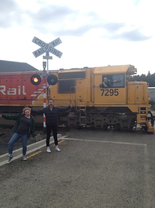 A friend was taking a photo as a train went past and someone decided to get in on the action