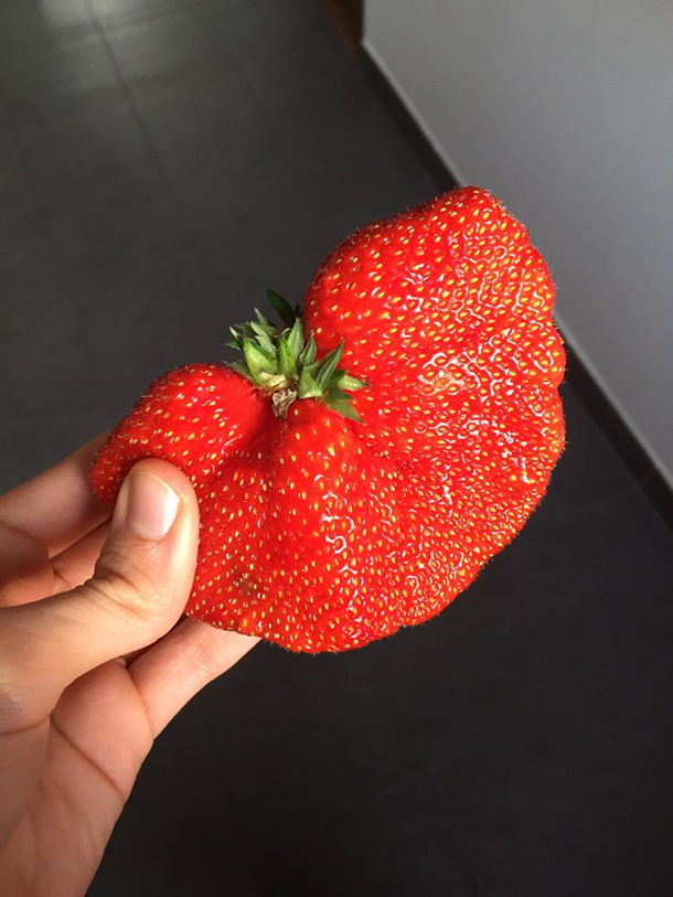 A goofy strawberry I found in a package
