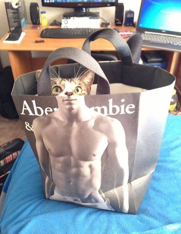 Abercrombie and meow