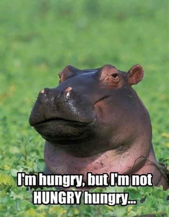 Adequately Hungry Hippo