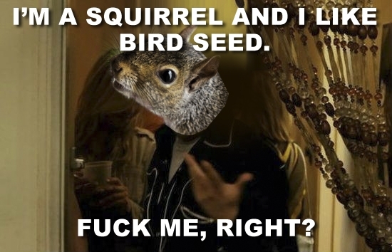 After reading the thread about how to Squirrel-Proof a Birdfeeder