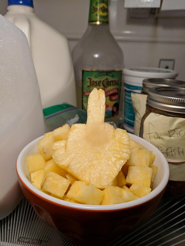 After she refused initially I stressed that I wanted my girlfriend to cut some pineapple for dinner while i was at the gym came home to this
