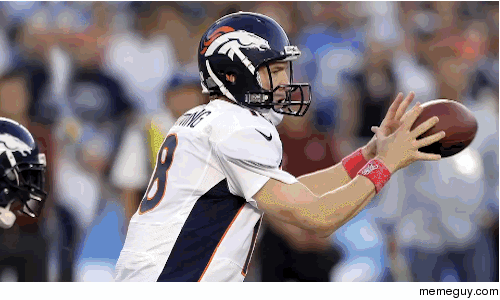 All  touchdown passes thrown by Peyton Manning this year
