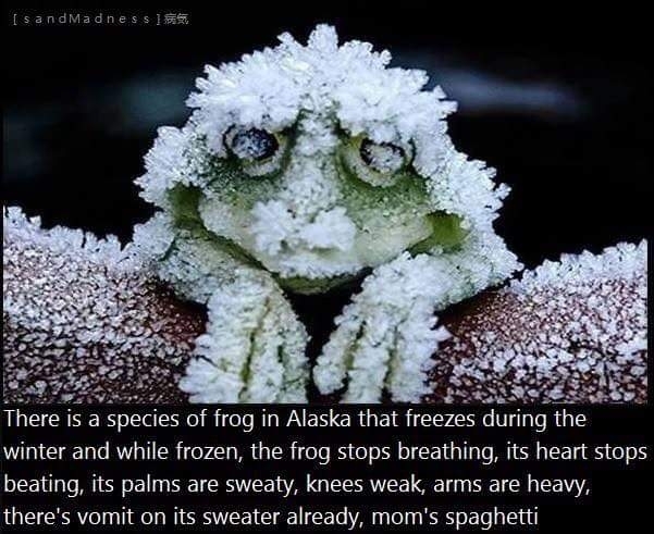 An interesting fact on how this Alaskan frog can survive after being frozen