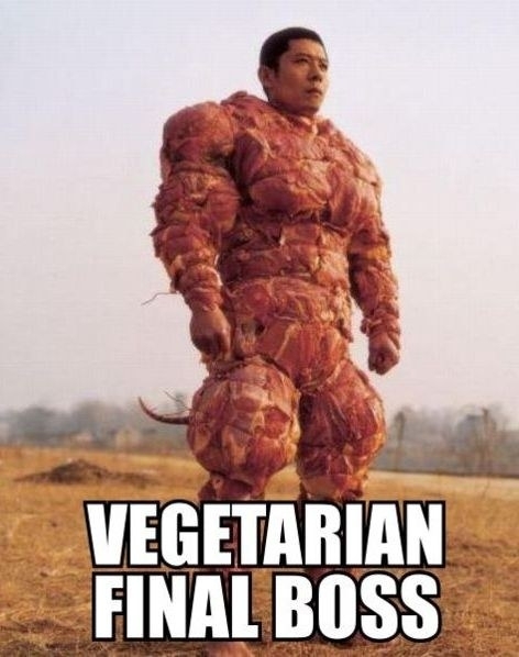 Anti-PETA armor