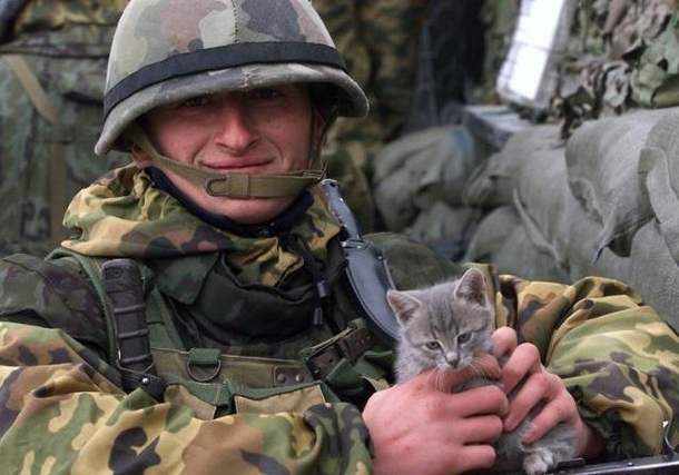 Army Kitten knows hes tougher than Army Dog and cuter too