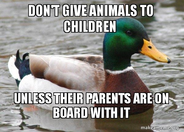 As a parent who has been offered a bunny for my kids