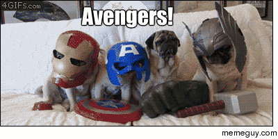 Avengers Pug Edition