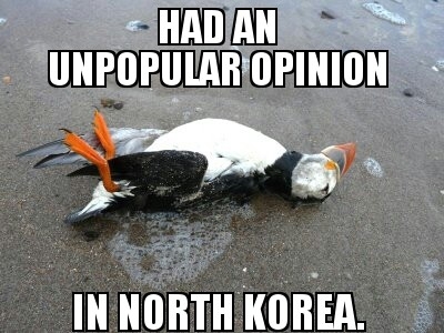 Bad Luck Puffin