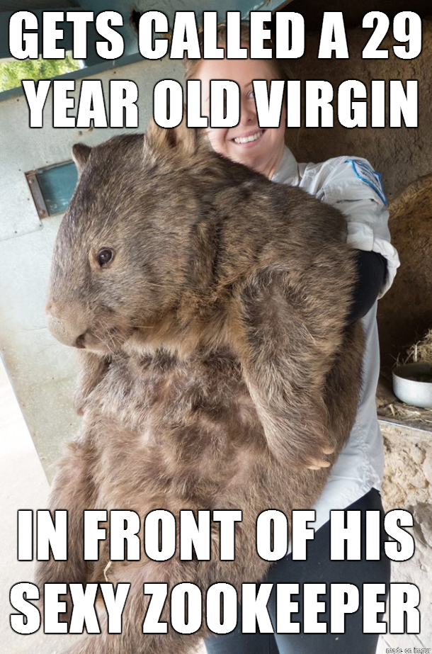 Bad Luck Wombat