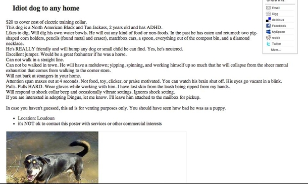 Best of Craigslist Please Adopt Dingus We cried from laughing so hard