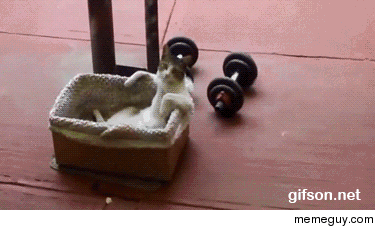 Better relax after lifting these weights