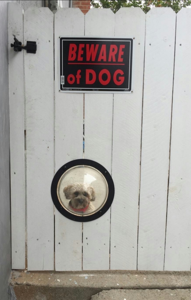 Beware of the DOG