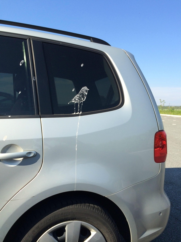 Birdpoop masterpiece at the parking lot