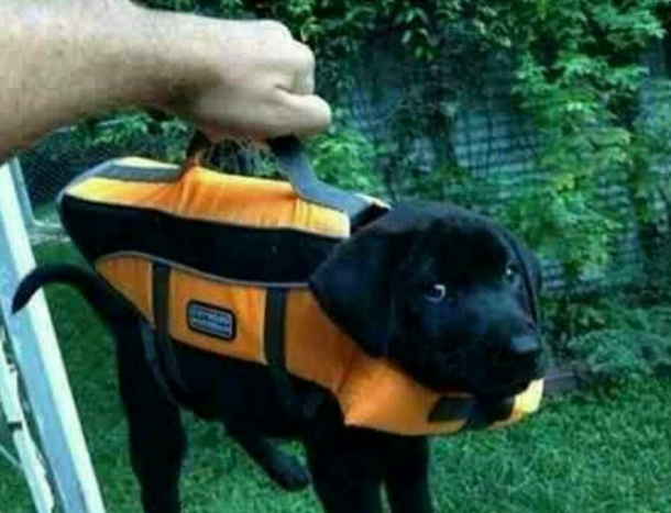 Briefcase containing important lab results