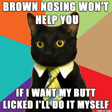 Business cat doesnt succumb to flattery