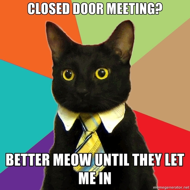 Business Cat you say