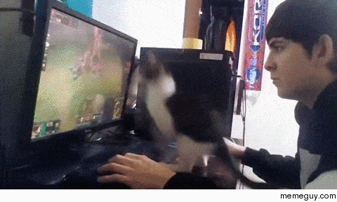 cat-owners-struggle-154132.gif