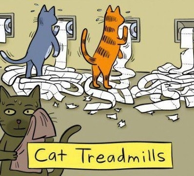 Cat treadmills