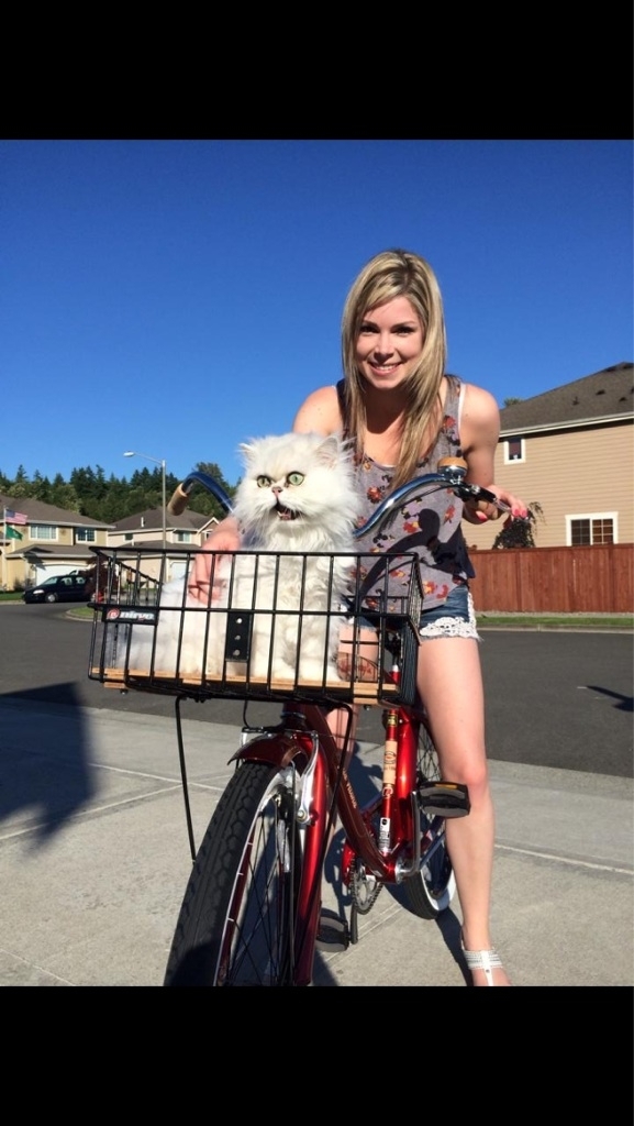 Cats first bike ride Was not pleased