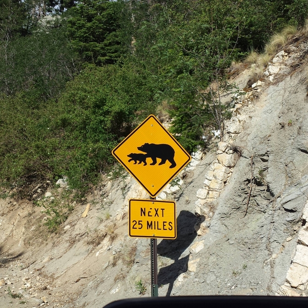 Caution bears fisting ahead