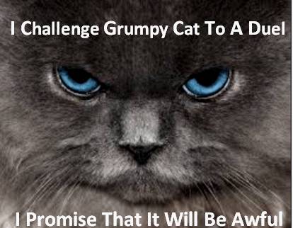 Challenge grumpy cat