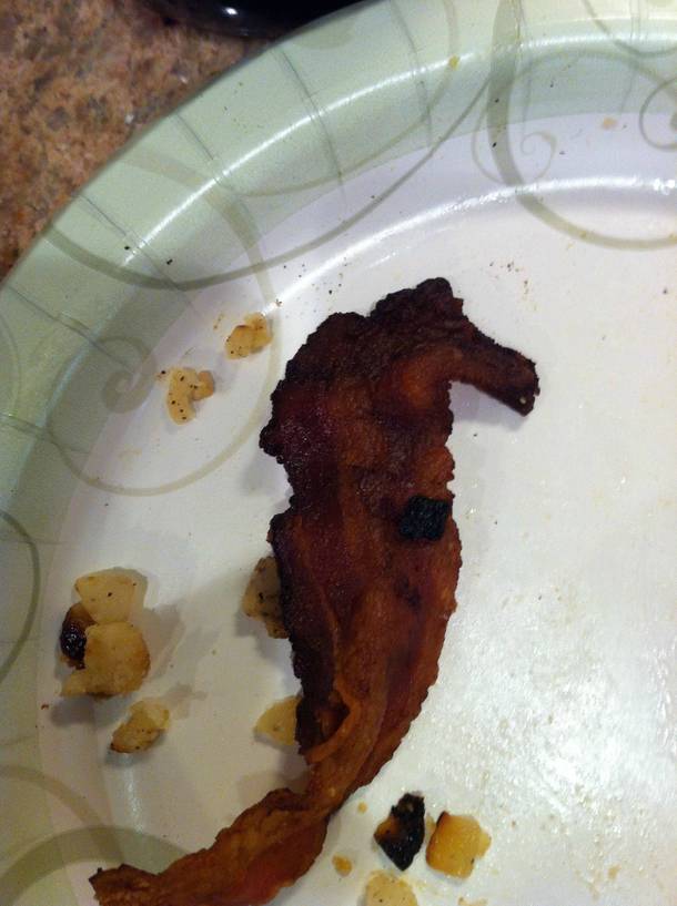 Cheese seahorse how about bacon seahorse D