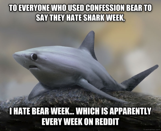 Confession Shark