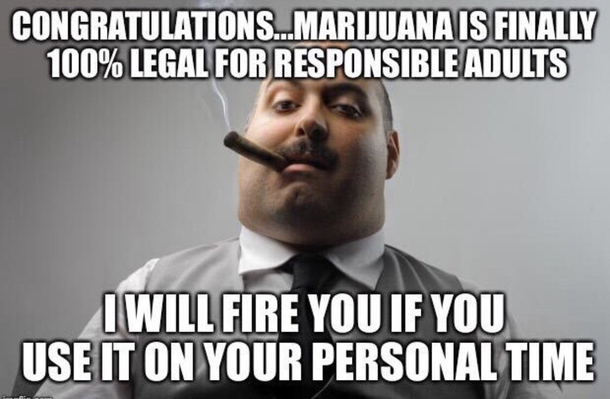 CONGRATULATIONS MICHIGAN ON THE LEGALIZATION OF MARIJUANA And now a word from your employer