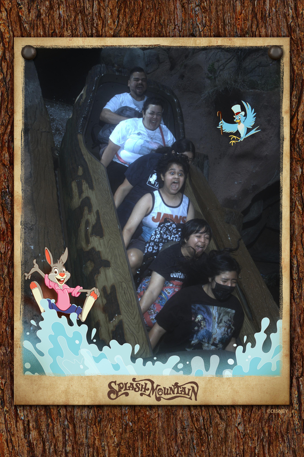 Constantly thinking about my Splash Mountain picture