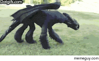Cool toothless cosplay