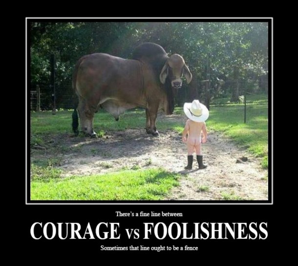 Courage vs Foolishness