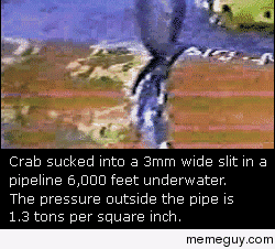 Crab vs Pressure