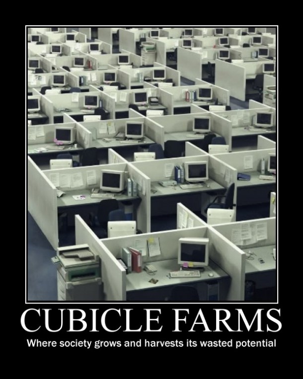 Cubicle farms