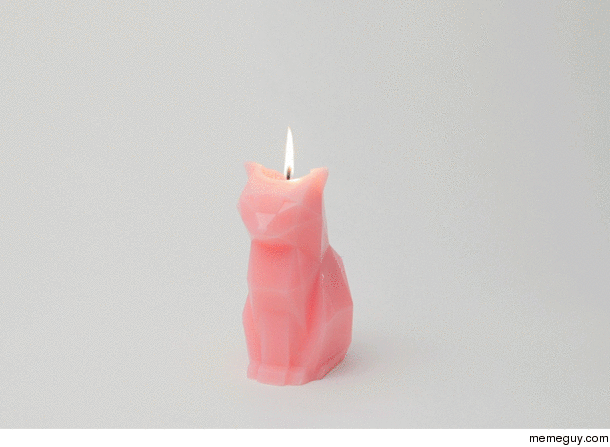 Cute cat candle