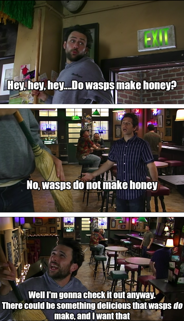 Do wasps make honey