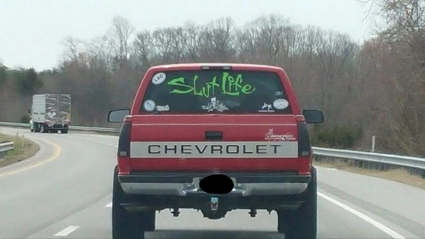 Does anyone else always misread the Salt Life stickers