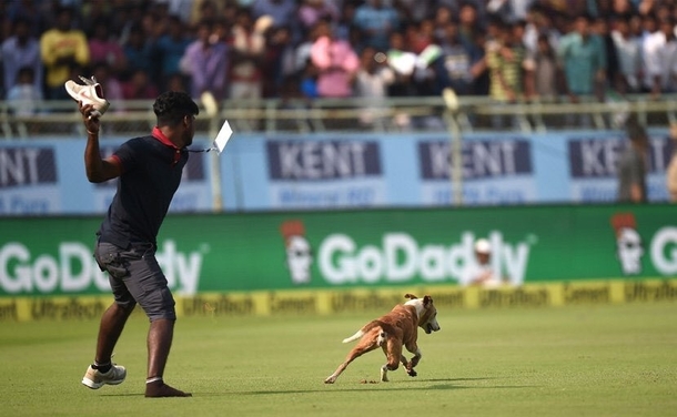Dog shits in ground and run around during India vs England match live
