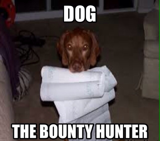 dog the bounty hunter