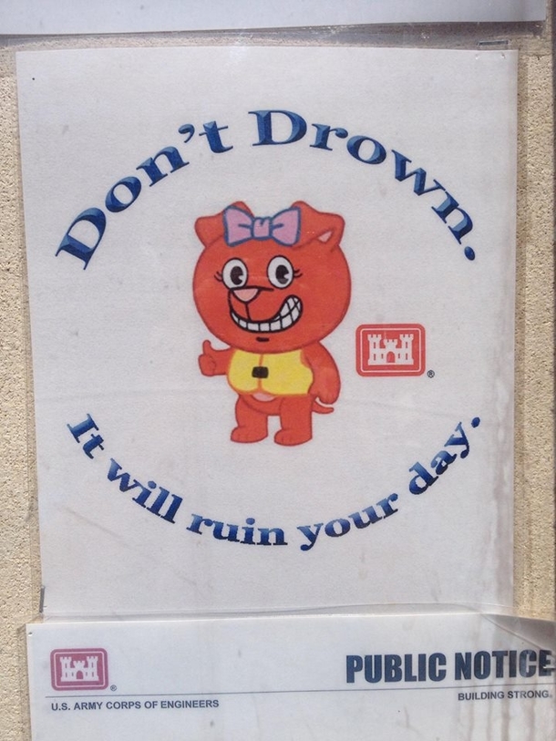 Dont drown it will ruin your day