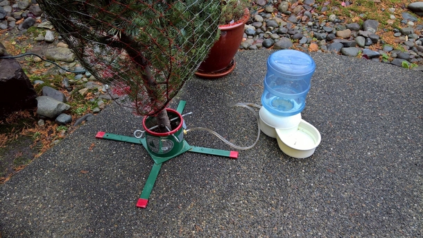 Dont put an engineer in charge of watering the tree OC