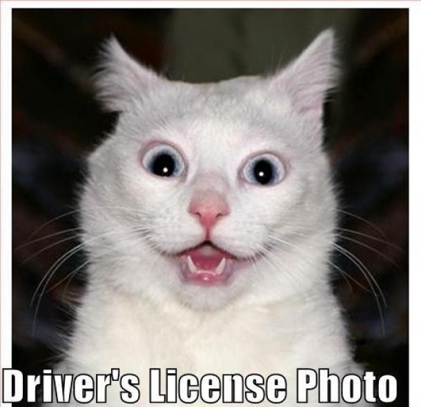 Drivers License Picture